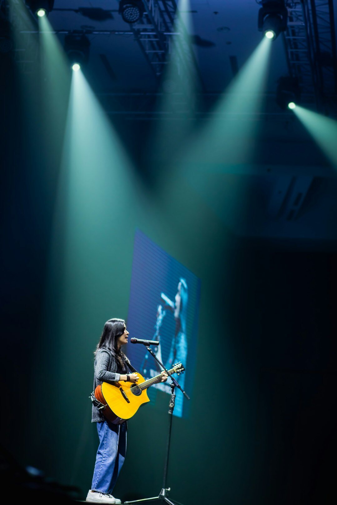 entertainment celebrity on stage
